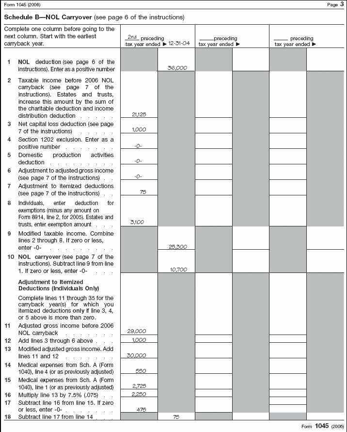 Form 1045, page 3